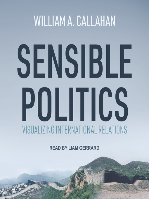 Title details for Sensible Politics by William A. Callahan - Available